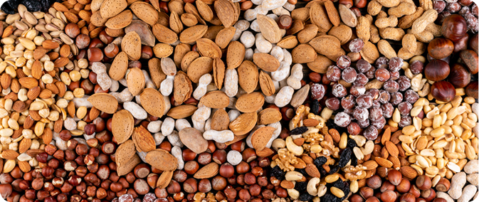 Semillas y Cereales
